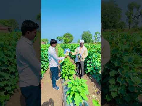 हाय ग्रोथ आणि इतर प्रॉडक्ट चे अतिशय सुंदर रिझल्ट